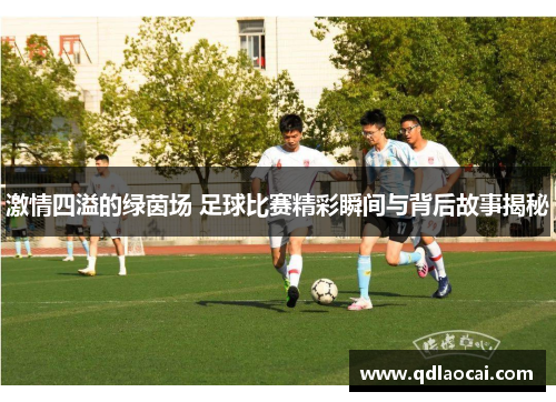 激情四溢的绿茵场 足球比赛精彩瞬间与背后故事揭秘